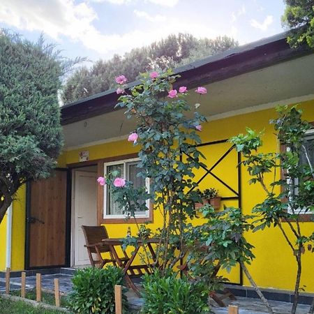فندق Cicek Evler Tatil Koeyue أرموتلو المظهر الخارجي الصورة